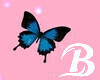 Blue Butterfly Head