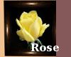 ItalianRose Yellow Rose 