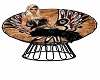 Native Passion Chaor