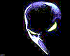 Spawn