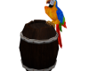 Pirates parrot