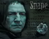 Snape- Penetrate You