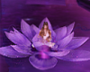 T- Meditation Lotus