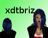 xdtbriz