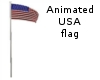 USA  Flag