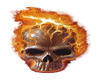 light skull fire