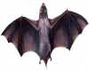flying bats