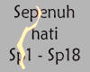 X Sepenuh Hati