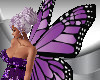 JS Purple Butterfly Wing