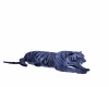 {LS} Blue Tiger