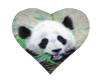 Panda Double Hearts Danc