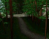 romantic forest
