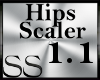 *SS Hip Scaler 1.1