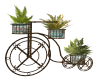 Floral Bicycle Planter