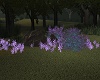 *BK*Rocks,Flowers Purple