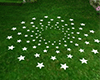 STAR EFEKT