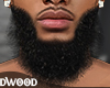 Asteri beard