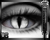 ![DS] V a M P |Grey