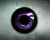 Eye Spy (Magik) 