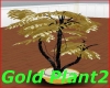 Gold plant2