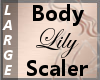 Body Scaler Lily L