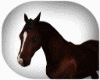 Animated Dark Bay Horse