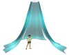 Teal Canopy Drapes