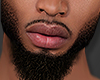 (+_+)VIRGO BEARD V1