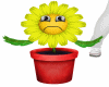 Flower Pot Pet w/Trigs