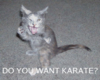 Karate