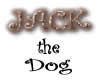 Jack the dog