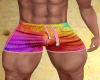 !B! Rainbow Shorts