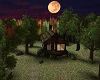 Sm. Moon Cabin