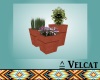 V: Clay Potted Plants