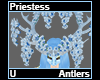 Priestess Antlers