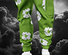 DNM TRS Green Pants