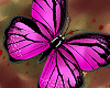 Ks* Animated Butterfly