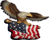 Flag Eagle Sticker