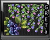 GT~EnhBlueberry&Flower