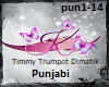 Timmy Trumpost-Punjabi