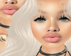 Ref 043