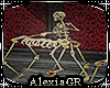 [A] Scary Skeleton Dulci