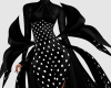 CA Blck Tail Complement