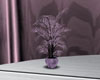 !C!Purple intimate plant