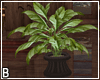 DRV Potted Plant