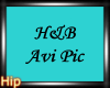 [H] H&B Avi Pic