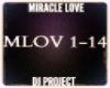 DJ Project -Miracle Love