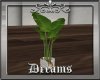 Concept Plant