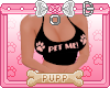 🐾 Pet Me! Black Pk.