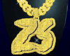 ZS⛓Pt 2⛓
